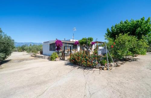 Amposta Apartment | La caseta dels iaios