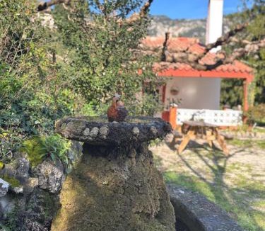 Alfara de Carles House | La CasetaBlanca del Toscar
