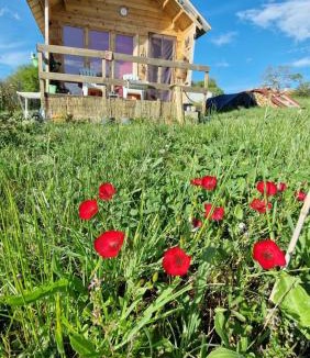 Villefranque Ski Chalet | La casita