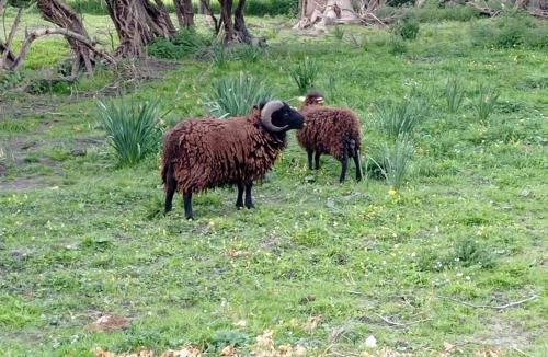 Pontorson Villa | La Cave "La Villa Saint Martin"