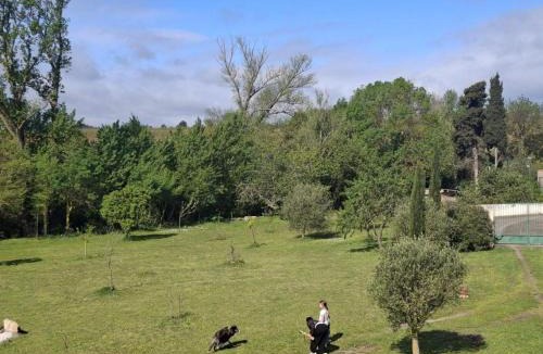 Villegly Bed & Breakfast | La cazabanelle