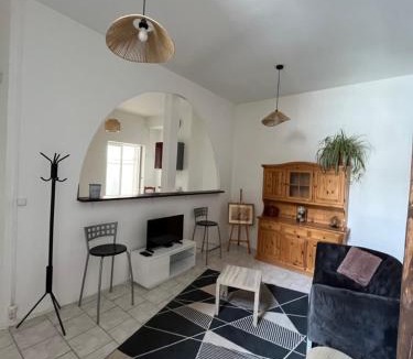 Chatillon-Sur-Loire House | La Châtillonnaise