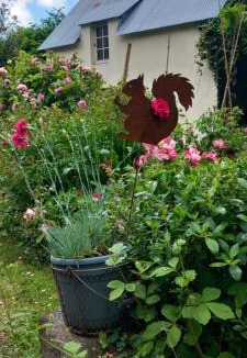 Sartilly-Baie-Bocage Bed & Breakfast | La châtre