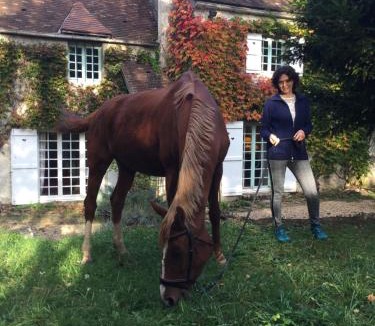 Chalo-Saint-Mars Bed & Breakfast | La Chalonnière