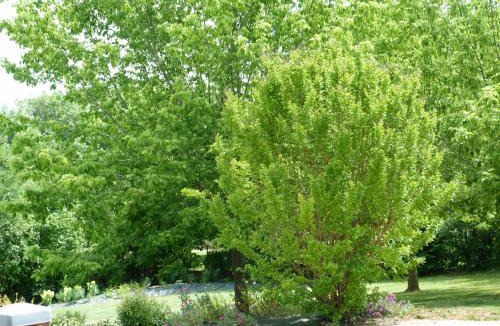 Cayriech Bed & Breakfast | La Chambre aux Oiseaux