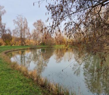 Montfort-le-Gesnois Bed & Breakfast | la chambre d'Andrea