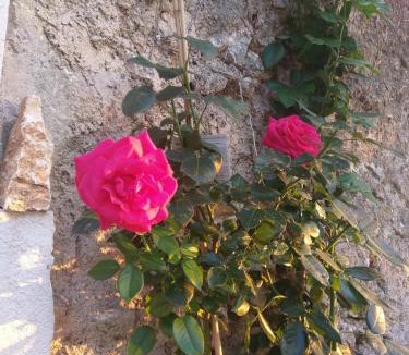 Navacelles Bed & Breakfast | La chambre de Seraphin