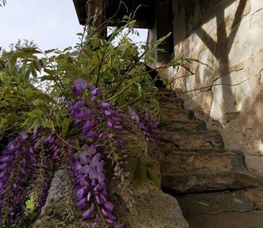 Mayet Bed & Breakfast | La chambre des vergers de St Nicolas