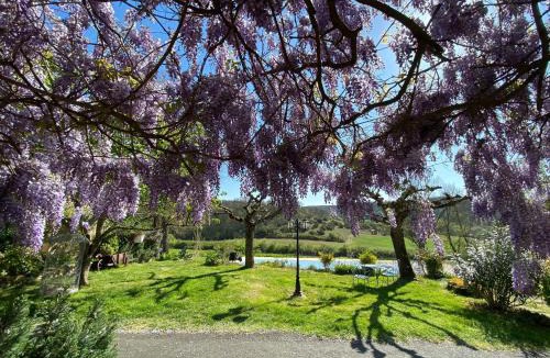 Lautrec Bed & Breakfast | La chambre du cantou