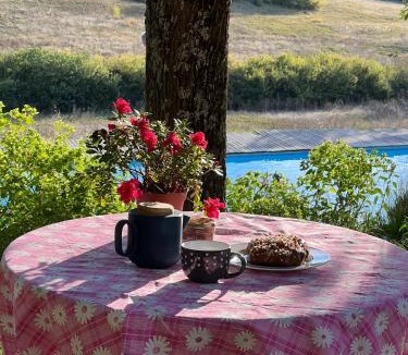 Lautrec Bed & Breakfast | La chambre du cantou