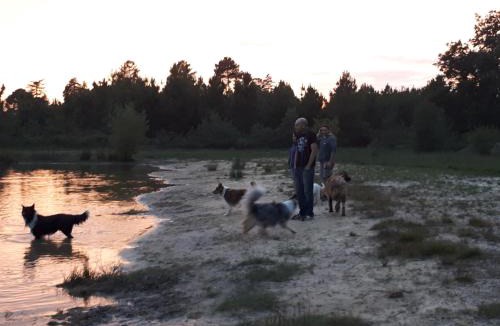 Captieux Apartment | La chambre du Gaille