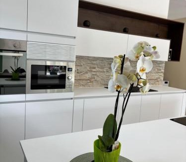 Belval-sous-Chatillon Apartment | La Champoternoise