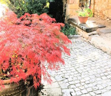 Montpeyroux Bed & Breakfast | La Charmeraie