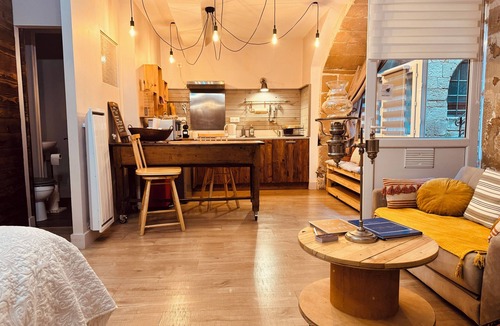 Romans-sur-Isere Apartment | La Chaumière - BedinShop - historic center - France