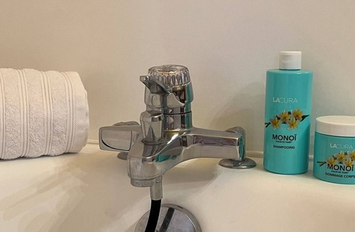 Villeneuve-sur-Allier House | La Chaumiere De L'Eau Sauvage