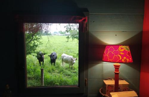 Olivet Bed & Breakfast | La Chaussee d'Olivet en Mayenne