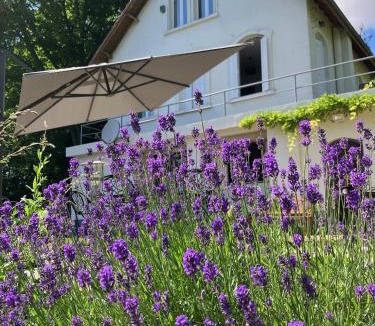 Auvers-sur-Oise House | LA CHERIELLE