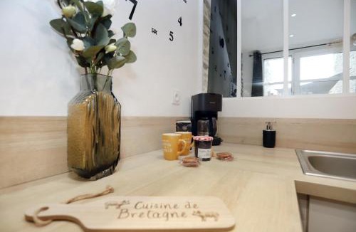 Centre ville - Urbanistes Apartment | La chouette détente, appartement jacuzzi fougères