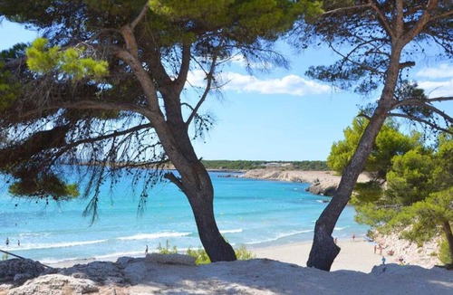 La Couronne Apartment | La Cigale charming studio in quiet residence