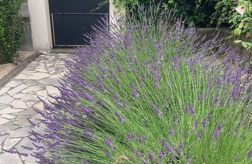 La Grand'Combe House | LA Cigale DU SUD