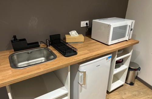 Panissieres Apartment | La Cigogne