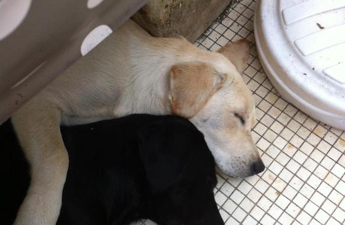 L'Huisserie Bed & Breakfast | La Clapere de Bonne