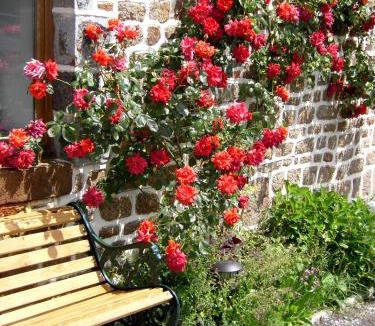 Sainte-Marie-du-Bois Bed & Breakfast | La Cloue