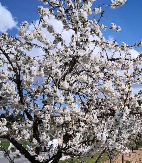 Villars Resort | La Colline des Ocres Village de vacances