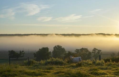 Iguerande Hotel | La Colline du Colombier