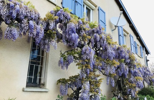 Rontalon House | La Colline Fleurie - RONTALON