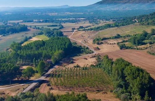 Barbadillo del Mercado House | La Costana de Barbadillo- Bed & Breakfast ONLY ADULTS