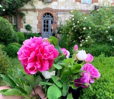 Courtonne-les-Deux-Eglises Bed & Breakfast | La Cour de l'église