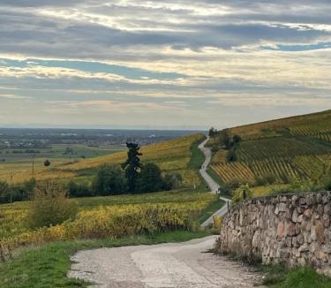 Dambach-la-Ville Apartment | La Cour Zaepffel