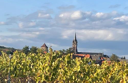 Dambach-la-Ville Apartment | La Cour Zaepffel