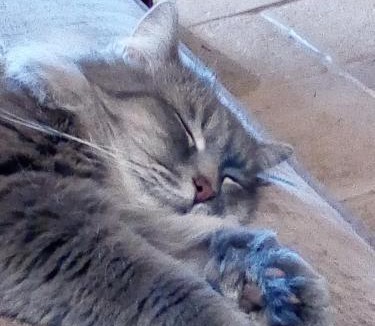 Oradour-sur-Glane Bed & Breakfast | La Croix De Camargue