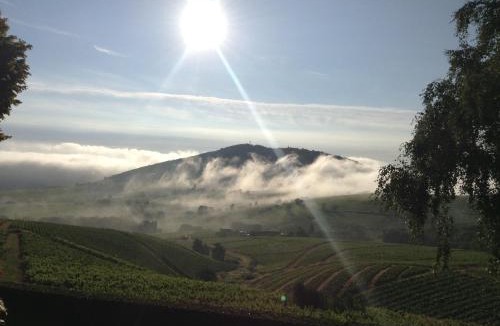 Quincie-en-Beaujolais Bed & Breakfast | La Croix de Saburin