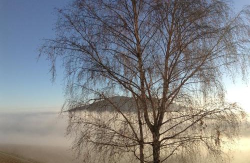 Quincie-en-Beaujolais Bed & Breakfast | La Croix de Saburin