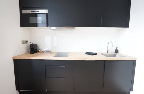 Old Lille Apartment | La Déesse, 1 Bedroom apartment Vieux Lille