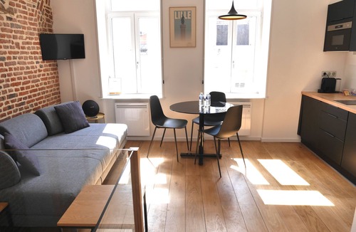 Old Lille Apartment | La Déesse, 1 Bedroom apartment Vieux Lille