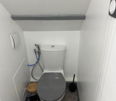 La Chapelle-Saint-Mesmin Apartment | La détente