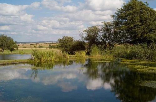 Berig-Vintrange Villa | La Dame Blanche
