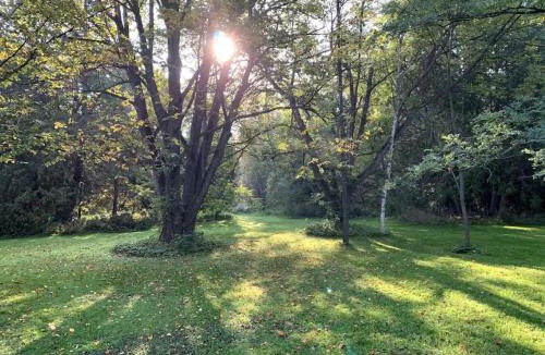 Cookstown House | La Datcha 20 Acres Private Spa, with Pool, Jacuzzi & Wood Burning Sauna
