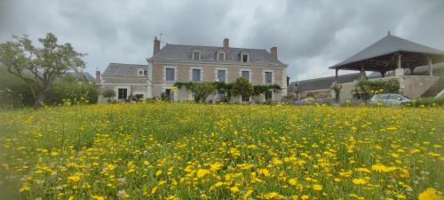 Saint-Melaine-sur-Aubance Bed & Breakfast | La Demeure de l'Aubance