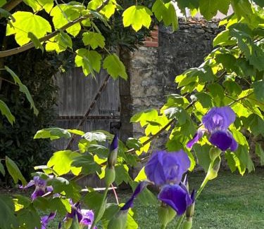 Fresnay-sur-Sarthe House | La Demeure d'Euphrosine