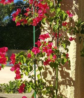 Langlade Bed & Breakfast | La demeure d'Hélice