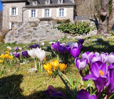 Saint-Chamant Bed & Breakfast | La Demeure de Cyr