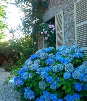 Quintin House | La Demeure du Collectionneur