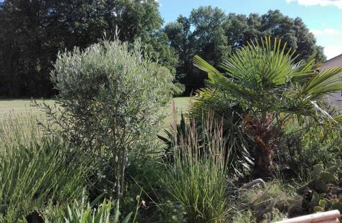 Polignac Bed & Breakfast | La Doucinière