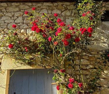 Saint Sozy Bed & Breakfast | la DROMOISE DU LOT