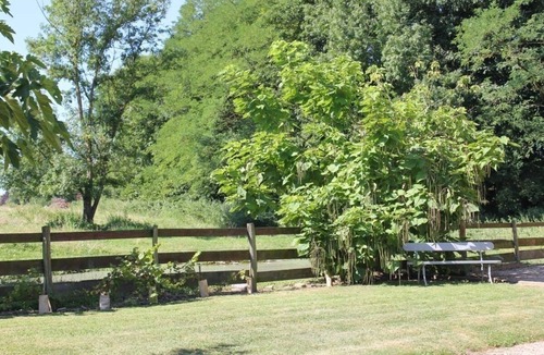 Pierre-de-Bresse House | La Duchie - PIERRE-DE-BRESSE